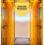 Vàng Avatar - Hà Nội Today