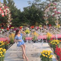 My Avatar - Hà Nội Today