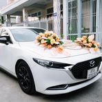 Vỹ Avatar - Hà Nội Today