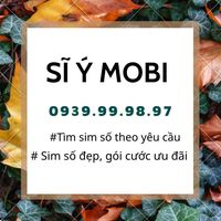 Ý Avatar - Hà Nội Today