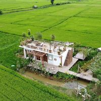 Dương Avatar - Hà Nội Today