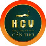 Cương Avatar - Hà Nội Today