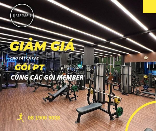 Bodylab Avatar - Hà Nội Today