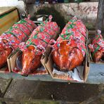 Kissbi Avatar - Hà Nội Today