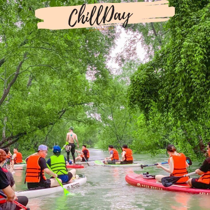 Chèo SUP khám phá Cồn Ấu tuyệt đẹp chỉ 599k/người tại SupMekong
