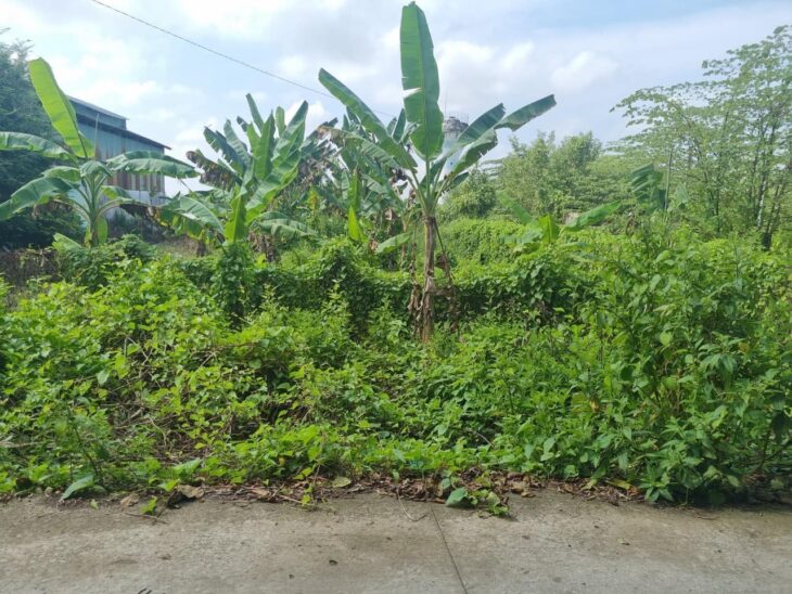 E Trai Chủ Đất Gởi Hàng Hiếm Sổ Hồng 756m thổ cư 100% E Trai Chủ Đất Gởi Hàng Hiếm Sổ Hồng 756m thổ cư 100%