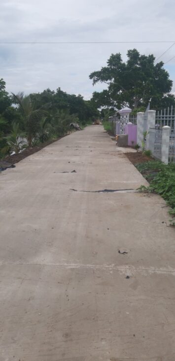 Cần bán nhà mái thái mini