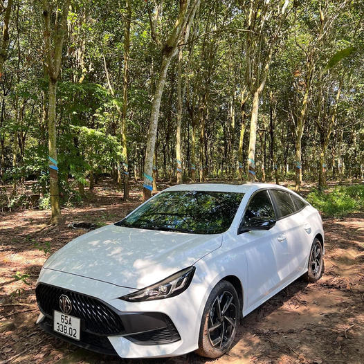 CHO THUÊ XE Ô TÔ TỰ LÁI HOÀN VỸ