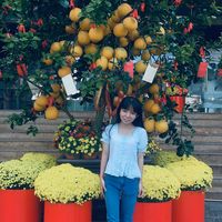 Ngọc Yến Avatar - Hà Nội Today