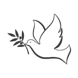 Hai dang Avatar - Hà Nội Today