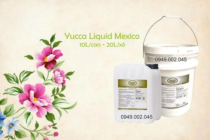 Yucca Star Liquid (Yucca Liquid) – Yucca nước nguyên liệu Mexico Yucca Star Liquid (Yucca Liquid) – Yucca nước nguyên liệu Mexico