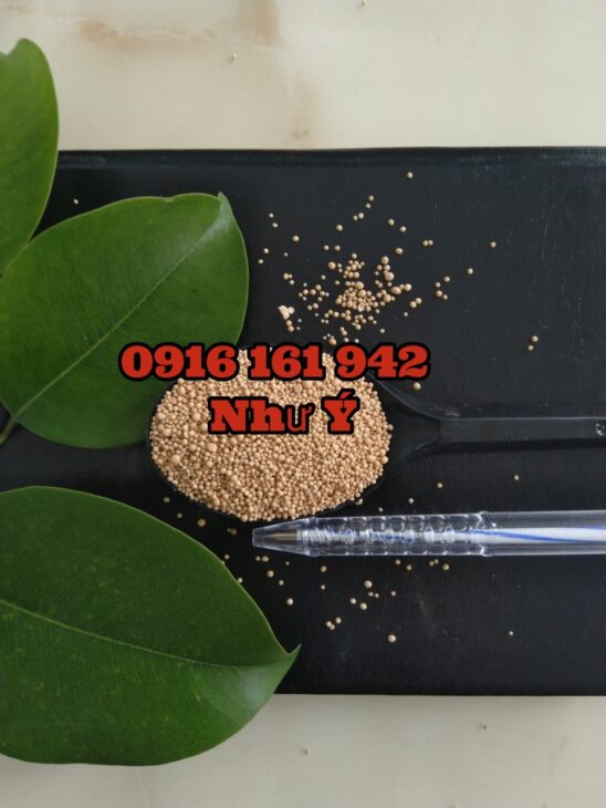 Nguyễn Avatar - Hà Nội Today