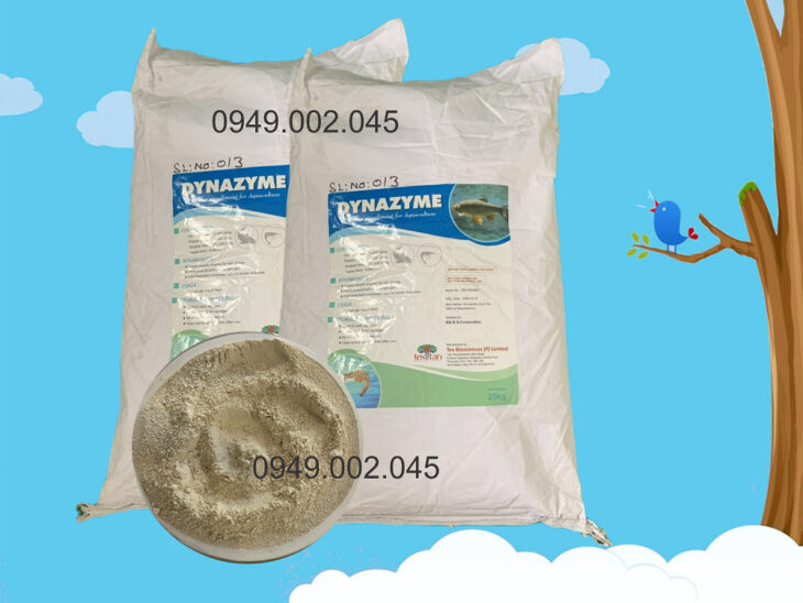 Dynazyme – Enzyme hỗn hợp hỗ trợ tiêu hóa cho vật nuôi