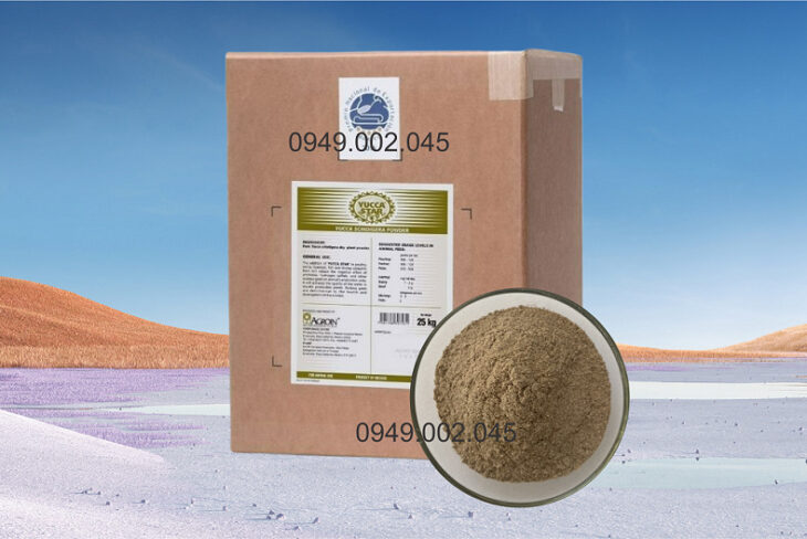Yucca Star Powder – Yucca bột Mexico giúp hấp thu khí độc