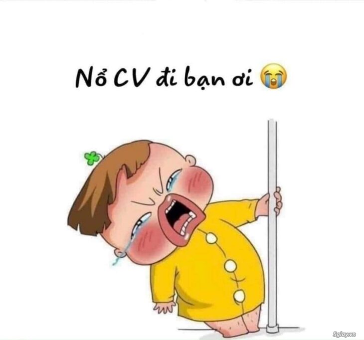 Tìm Ứng Viên Kinh Doanh Biết Việc, Biết Điều, Được Đào Tạo Bài Bản