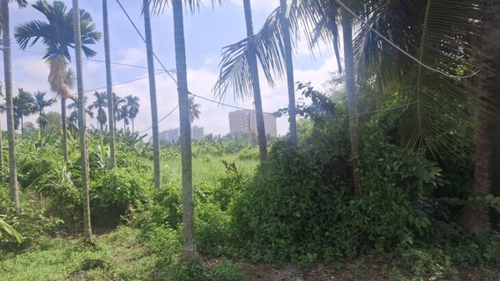 ĐẤT KHỦNG GIÁ BÈO 500M2, ĐƯỜNG 11, TAM BÌNH, 3TỶ TL.