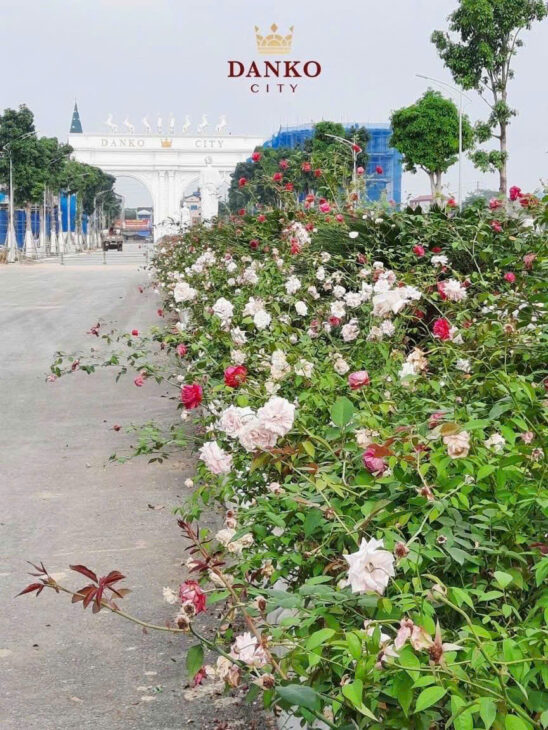 Em cần bán lô LK thành phố Thái Nguyên – Diện tích 6m * 16m vị trí đẹp, Giá 2,5 tỷ