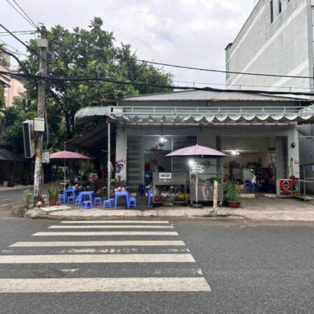 Bán cặp đất góc 2 mặt tiền kinh doanh đường số 49 khu dân cư Tên Lửa, DT 10x20m, Tân Tạo, Bình Tân