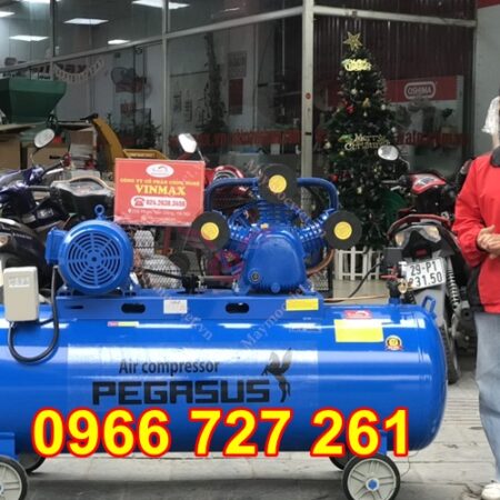 Máy nén khí Pegasus TM-W-0-67/8-330L 7.5Hp (380V)