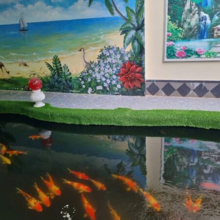 Bán biệt thự 650m2 gần đường Phạm Văn Đồng,Biển Mỹ Khê,An Hải Bắc,Sơn Trà.