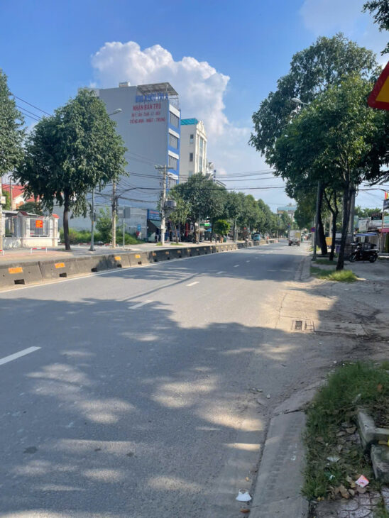 Bán đất mặt tiền 8x30m giá 19 tỷ Đường Lê Thị Riêng