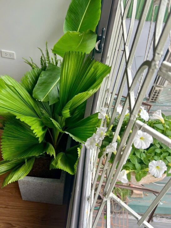 Bán nhà TT Tân Mai giá 2.38 tỷ, diện tích 45m2, tầng 3, mặt tiền 3m