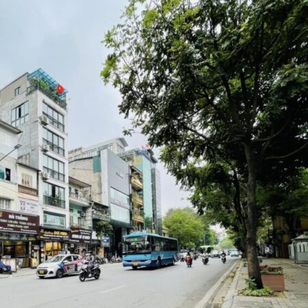 ⚜️ Đất vàng Mặt phố Nguyễn Thái Học, Ba Đình 248m2 MT 7m, Xây được 10 tầng, Chỉ 148 Tỷ ⚜️