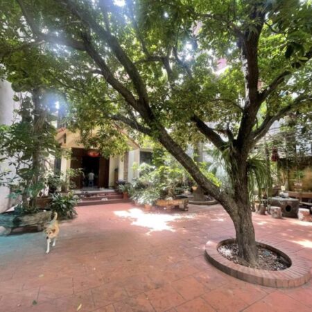 ⚜️ Mặt phố Đồng Cổ, Tây Hồ, 450m2 3T MT 10m, Đất vàng mặt phố giá đầu tư, Chỉ 98 Tỷ ⚜️