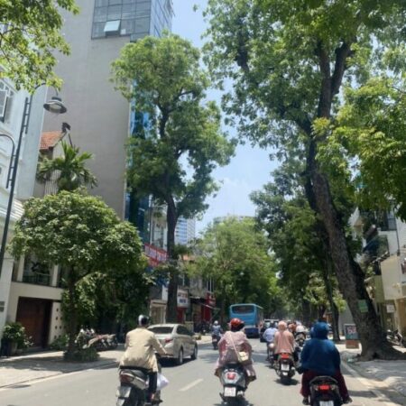 ⚜️ Bán Tòa Văn phòng Mặt Phố VIP Bà Triệu, 190m2 10T, MT 7m, Chỉ 179 Tỷ ⚜️ ⚜️ Bán Tòa Văn phòng Mặt Phố VIP Bà Triệu, 190m2 10T, MT 7m, Chỉ 179 Tỷ ⚜️