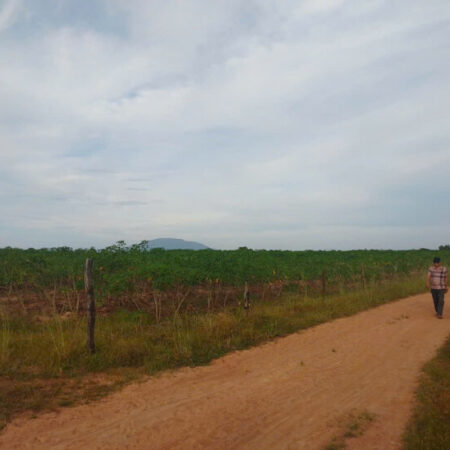 HÃY SỞ HỮU NGAY BẤT ĐỘNG SẢN NÔNG NGHIỆP_TẠO DÒNG TIỀN (90%-100%/NĂM)