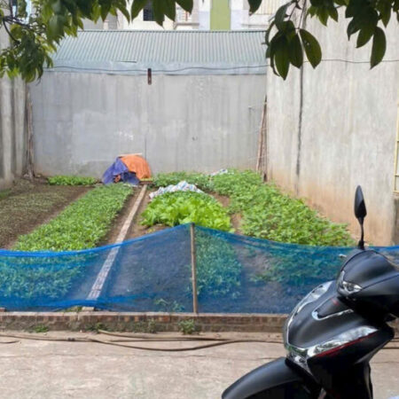 CHÍNH CHỦ CẦN BÁN MẢNH ĐẤT TẠI PHỐ PHÚC LỢI (NGÕ RỘNG Ô TÔ VÀO TẬN ĐẤT) CHÍNH CHỦ CẦN BÁN MẢNH ĐẤT TẠI PHỐ PHÚC LỢI (NGÕ RỘNG Ô TÔ VÀO TẬN ĐẤT)