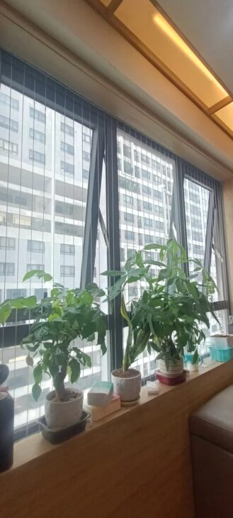 Chính chủ bán CHCC Thành Phố giao lưu, Phạm Văn Đồng, 2 PN, 2WC, nhỉnh 4 tỷ