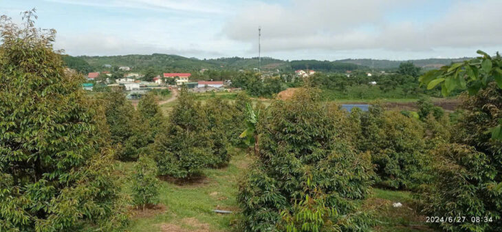 ĐẤT CHÍNH CHỦ – GIÁ TỐT – Vị Trí Đẹp Tại Thôn 4, Xã Đắk Ha, Huyện Đắk GLong, Tỉnh Đắk Nông