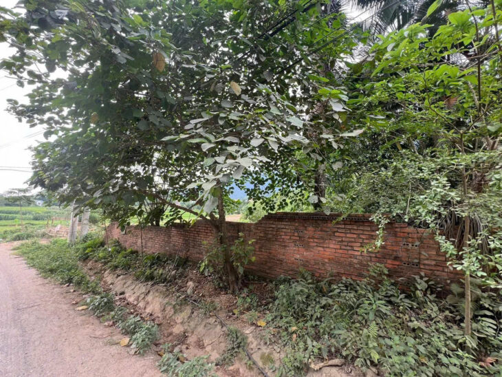 HOT ĐẤT CHÍNH CHỦ – GIÁ TỐT – Vị Trí Đẹp Tại Thôn 1, Xã Yên Bình, Huyện Thạch Thất, Thành phố Hà Nội