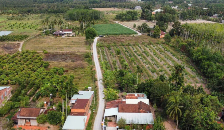 ĐẤT ĐẸP – GIÁ Tốt – Vị Trí Tại : Ấp Cây Đa – Xã Hiệp Thạnh – Huyện Gò Dầu – Tỉnh Tây Ninh