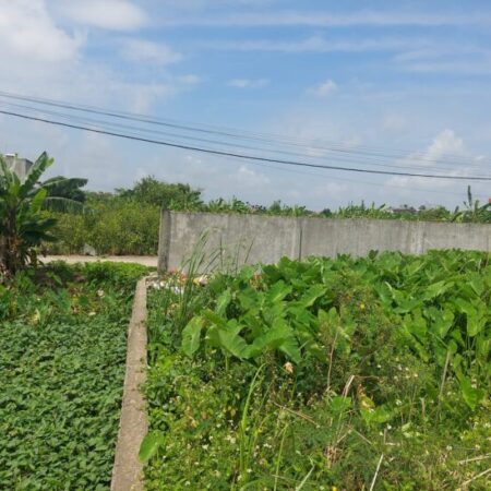 BÁN LÔ ĐẤT PHƯỜNG HOÀNG DIỆU, TIỀM NĂNG SINH LỜI CAO DIỆN TÍCH KHỦNG BÁN LÔ ĐẤT PHƯỜNG HOÀNG DIỆU, TIỀM NĂNG SINH LỜI CAO DIỆN TÍCH KHỦNG