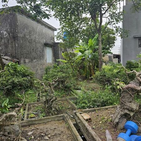 BÁN ĐẤT TẶNG NHÀ TRONG NGÕ XÃ VŨ TÂY KIẾN XƯƠNG Diện tích 82.1m2 MT11.72m, giá 750 triệu – Ngõ BÁN ĐẤT TẶNG NHÀ TRONG NGÕ XÃ VŨ TÂY KIẾN XƯƠNG Diện tích 82.1m2 MT11.72m, giá 750 triệu – Ngõ