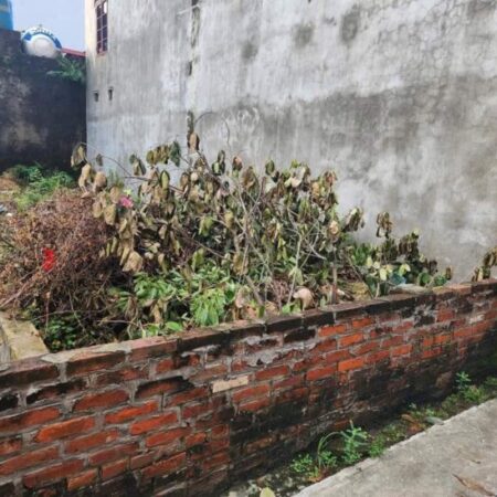 BÁN LÔ ĐÁT TĐC VỊ TRÍ ĐẸP NGÃ TƯ GIA LỄ, ĐÔNG MỸ 87M GIÁ 2.2TỶ BÁN LÔ ĐÁT TĐC VỊ TRÍ ĐẸP NGÃ TƯ GIA LỄ, ĐÔNG MỸ 87M GIÁ 2.2TỶ