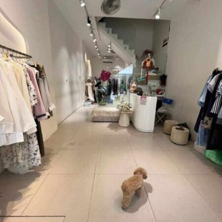 MĂT PHỐ NGUYỄN HY QUANG – ĐÔNG ĐA, KD Ô TÔ, VỈA HÈ: 48M, 6T, MT: 5.2M, 23.5 TỶ MĂT PHỐ NGUYỄN HY QUANG – ĐÔNG ĐA, KD Ô TÔ, VỈA HÈ: 48M, 6T, MT: 5.2M, 23.5 TỶ