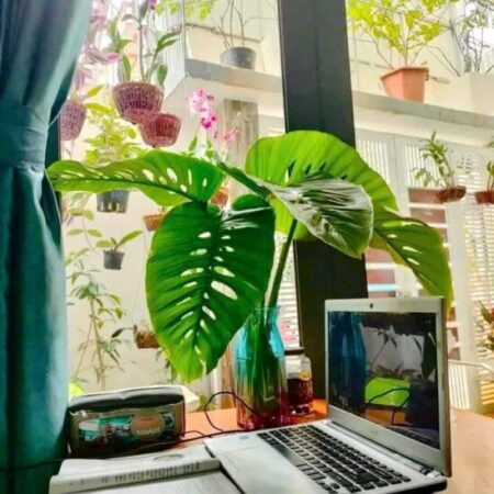 **♦️ Nhà gần biển ngay giữa trung tâm TP Nha Trang ♦️**