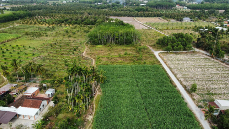 SỞ HỮU ĐẤT ĐẸP – GIÁ Tốt – Vị Trí Đắc Địa Tại : Ấp Cây Đa – Xã Hiệp Thạnh – Huyện Gò Dầu – Tỉnh
