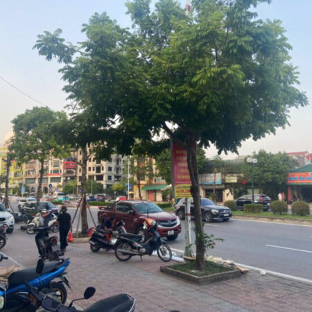 ĐẤT ĐẸP – GIÁ TỐT – Vị Trí Đắc Địa Tại Mặt đường Phố Hồng Tiến, Bồ Đề, Long Biên, Hà Nội