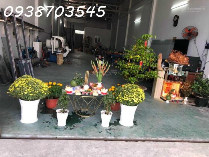 Bán nhà MT Trần Văn Giàu Bình Chánh 6,45 x50m 250m2 thổ cư giá 11,7 tỷ