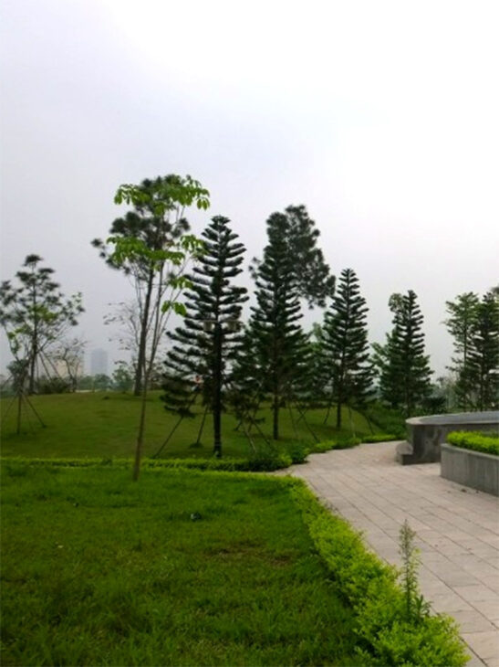 Bán nhà X57 Xuân Đỉnh Ngõ Siêu Nông Ở An Lành Sung Sướng 39m2 5 tầng 7,4 tỷ