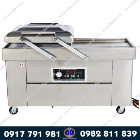 Máy đóng gói hút chân không DZQ 600 2 buồng