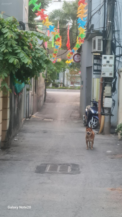 Bán nhà Phú Thượng 5 tầng 105m2 mặt tiền 6m giá 16,5 tỷ