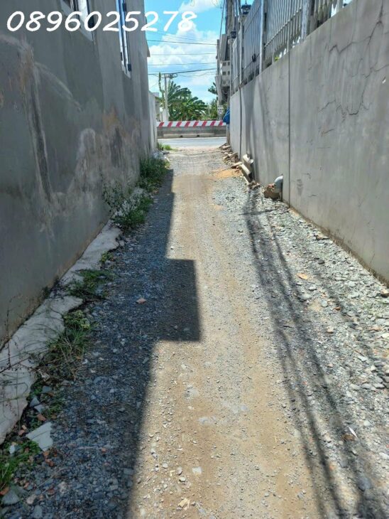 Bán đất thổ cư 248m², Tỉnh lộ 833, Long Định, Cần Đước, Long An – 1.5 tỷ