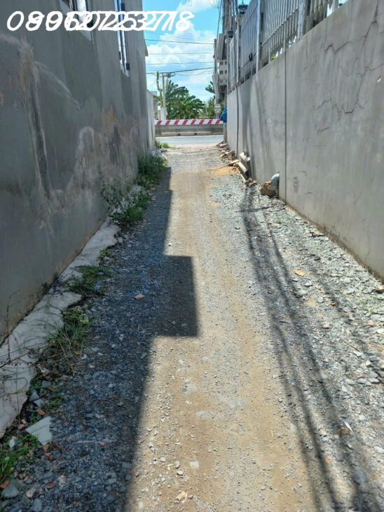 Lô đất thổ cư Long Định (246m²) – Sổ hồng riêng, chỉ 1.55 tỷ cach DT 830B chỉ một căn