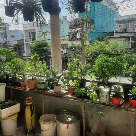 CHỈ 7.3 TỶ, CĂN GÓC MẶT TIỀN, DT 72.5M2, PHẠM THẾ HIỂN, P4Q 8-KHU VỰC CỰC KỲ SẦM UẤT