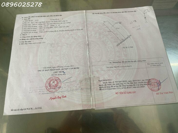 Bán đất thổ cư 248m² mặt tiền Tỉnh lộ 825D, Long Định, Cần Đước, Long An – 1.5 tỷ